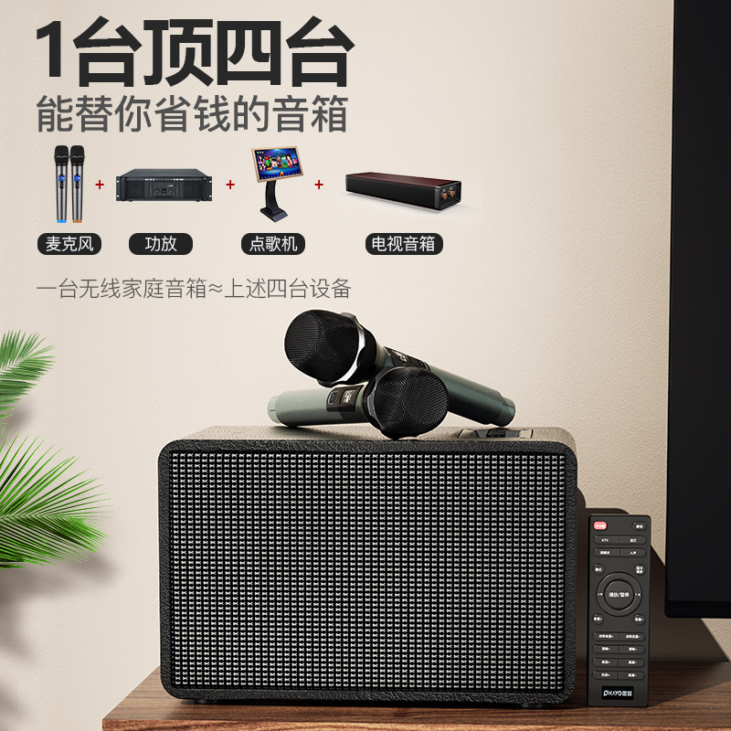 Leiden family KTV small karaoke machine