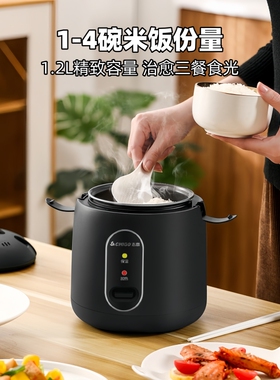 官方正品志高mini电饭煲2026新款