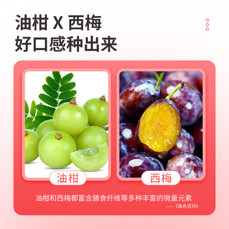 仁和油柑L肉碱片左旋肉碱西梅绿茶粉菊粉益生元非黑咖啡旗舰店 - 图0