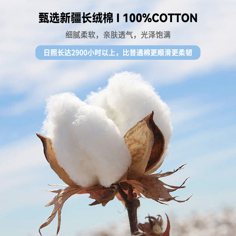 潮牌美式高街印花短袖T恤男女士夏季创意纯棉260g宽松体恤上衣ins - 图2