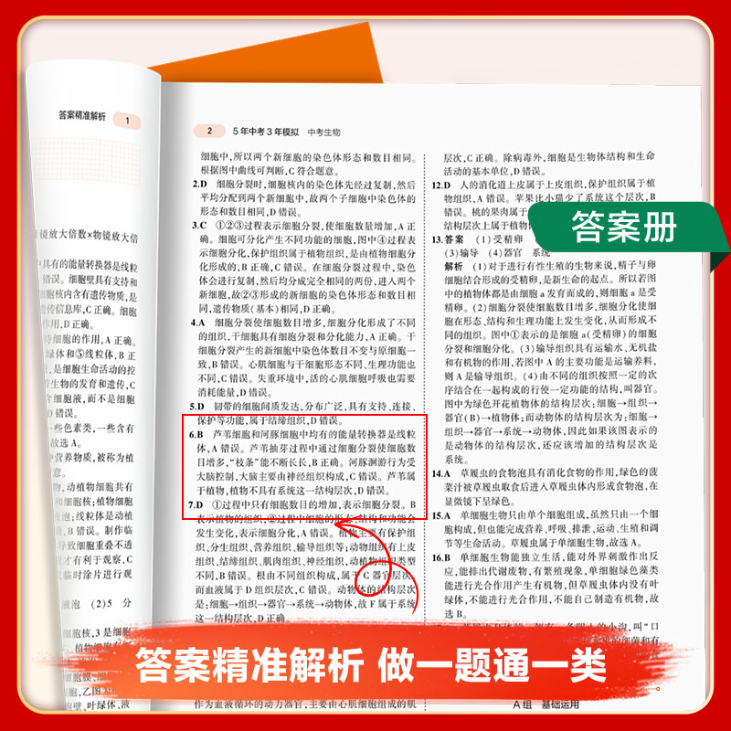 2024新】五年中考三年模拟生物地理中考总复习资料会考53年中考五三中考地理生物初中教辅练习册真题试卷八年级初二生物地理辅导书-图3