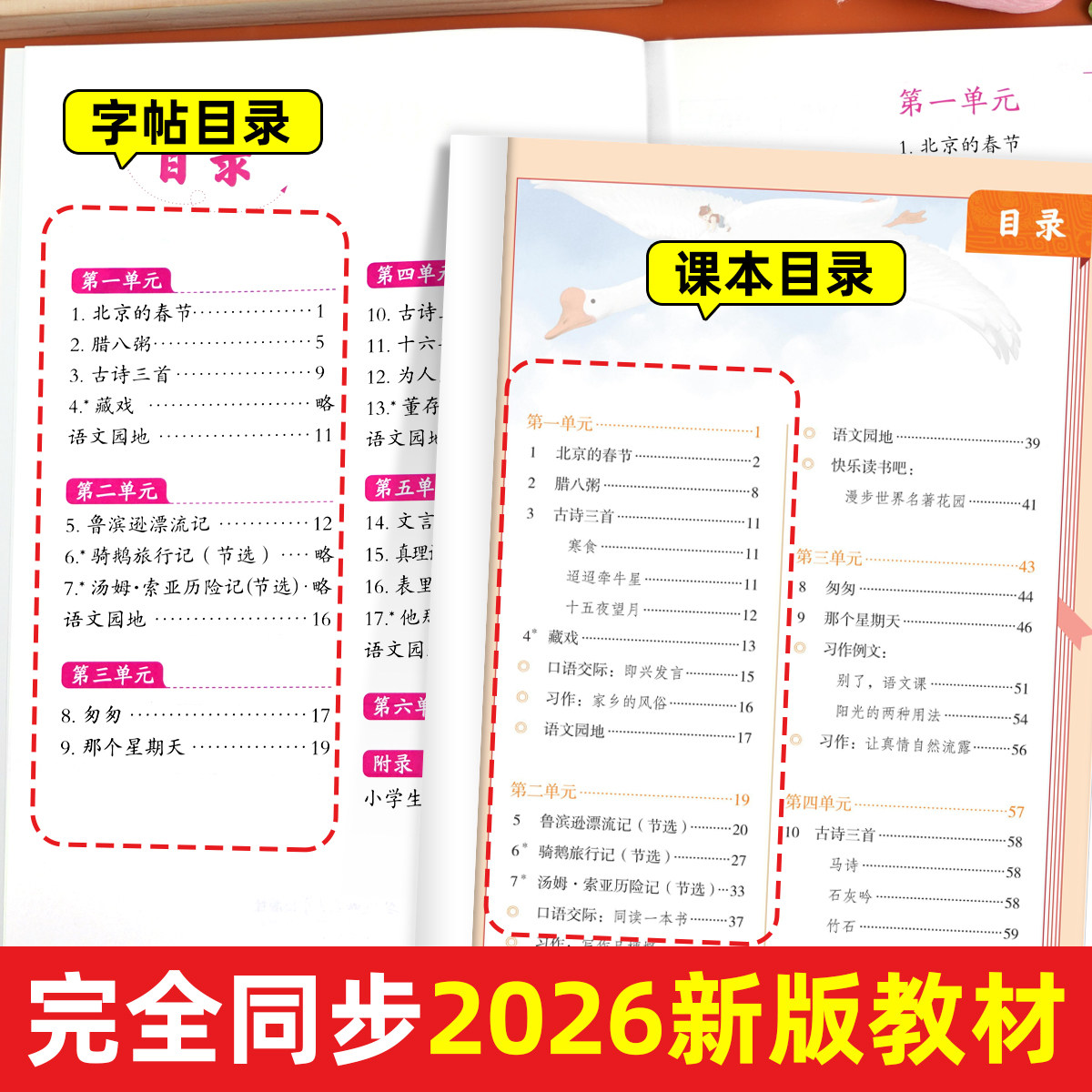【2026新版】六年级下册练字帖人教版六下语文字帖课本同步练字帖 6年级下小学生专用钢笔生字帖下学期练字教材写字每日一练课课练