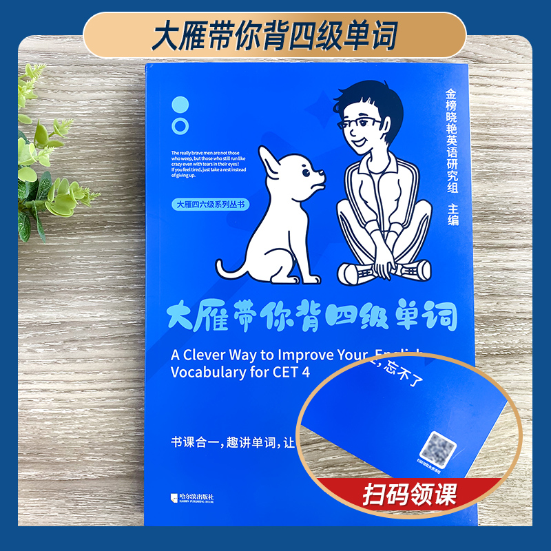 赠视频】备考2024年6月刘晓艳大雁带你背四级单词刘晓艳刘晓燕四级词汇单词书大学英语cet-4高中词汇搭大雁带你刷四六级真题试卷-图0