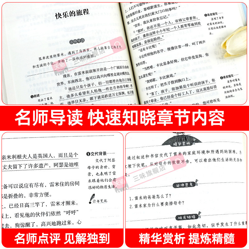 苦儿流浪记正版四年级阅读课外书必读老师推荐上下册儿童书籍三五六年级小学生课外阅读书籍儿童文学故事书世界经典名著小说读物,淘宝优惠券,粉丝福利购,淘宝优惠卷