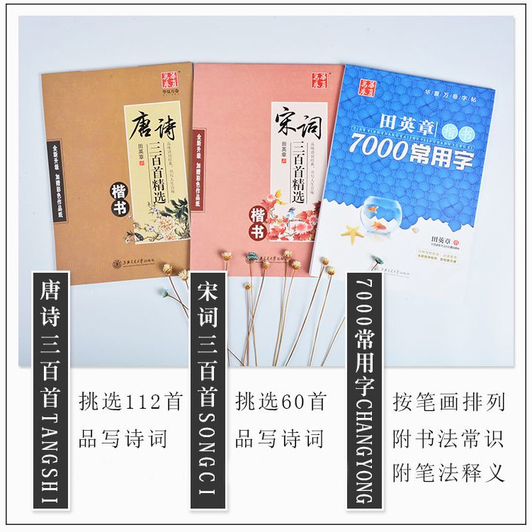 正版 华夏万卷字帖田 英章楷书 字帖套装3本 7000常用字+唐诗三百首+宋词三百首楷书硬笔书法字帖 儿童成人楷书入门钢笔练字帖 - 图0