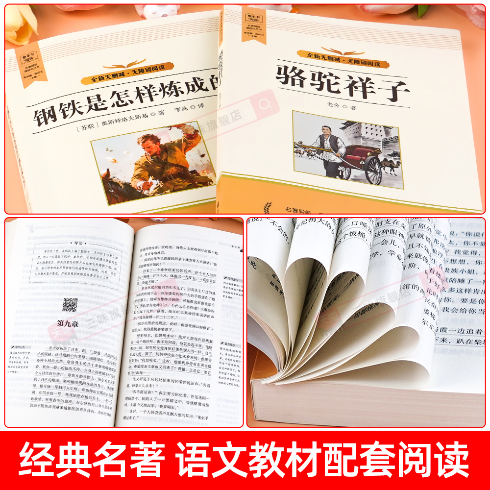 钢铁是怎样炼成的和骆驼祥子 七年级下册的必读书课外书初一阅读书籍 配套人教版教材老师推荐正版原著完整版无删减名著课程化书目 - 图3