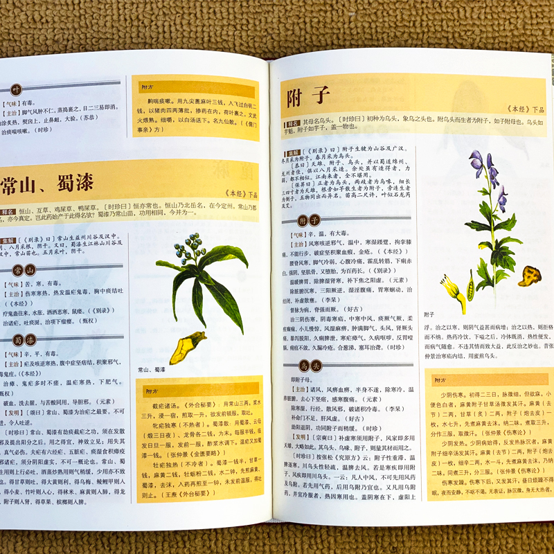 精装本草纲目原版全套李时珍原著正版彩图版彩绘版中草药大全书中医书籍配方药材医学皇黄帝内经抓配图解伤寒论基础理论