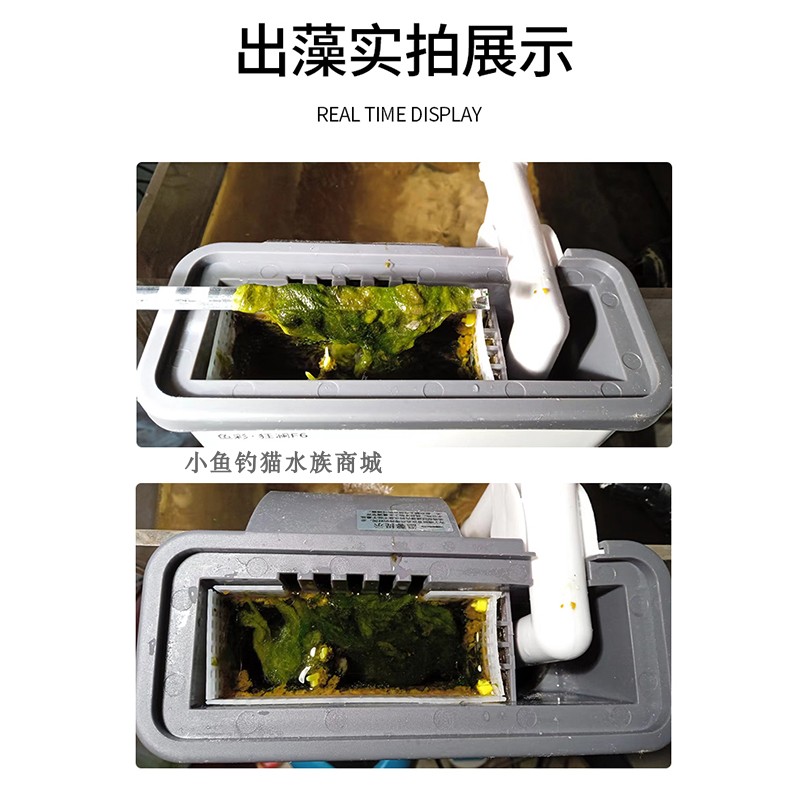 外挂UAS藻盒ATS藻盒鱼缸生态过滤器 外挂藻盒除no3海缸海水藻盒 - 图1