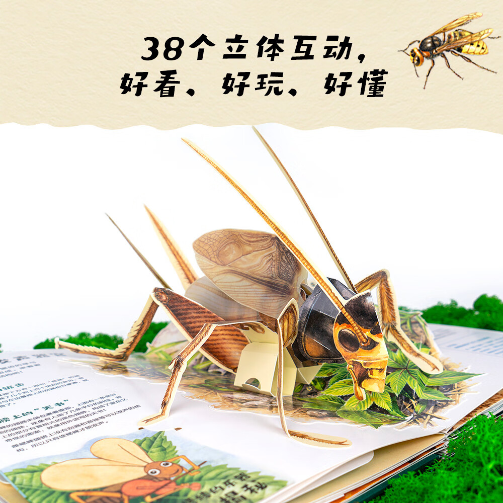 昆虫记立体书 法布尔昆虫记立体书 38个立体互动 附赠昆虫观察指南 三蝶纪审读校订 儿童自然科学启蒙读物 小学生课外读物果麦出品