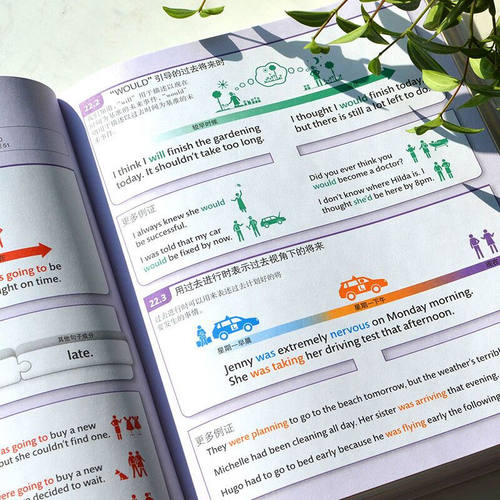 DK新视觉人人学英语英语语法全书 学生英语学习托福雅思出国留学零基础入门自学语法知识大全语法训练词汇短语动词习语阅读手册 - 图2