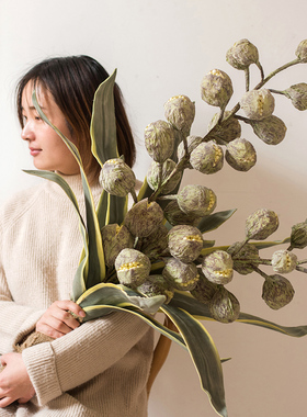 掬涵禁果抽象艺术风格套装花束