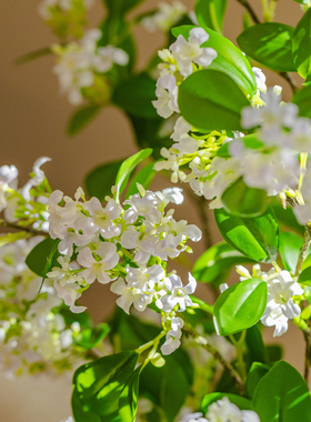 高档客厅花艺摆件花千里香桂花