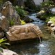 Juhan new Chinese style house decorations for attracting wealth and flowing water