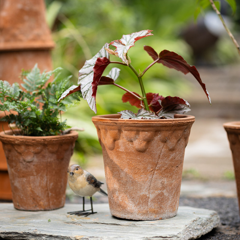 掬涵复古红陶花盆浮雕粗陶透气吸水多肉绿植种植花器庭院阳台装饰,淘宝优惠券,粉丝福利购,淘宝优惠卷
