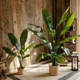 Juhan large simulated banana tree decorative potted plant