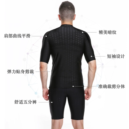 Раздельный купальник, штаны, снаряжение, профессиональная акула для соревнований, оверсайз