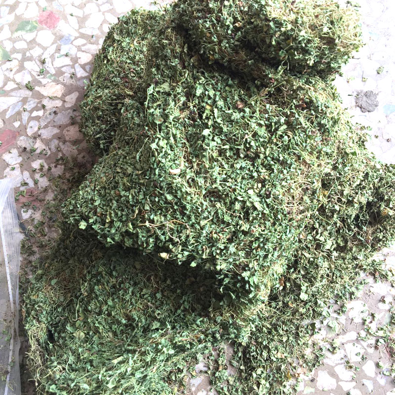 金钱草野林农家小叶广金钱草药材泡茶马蹄金溶石草化石茶500克包 - 图2