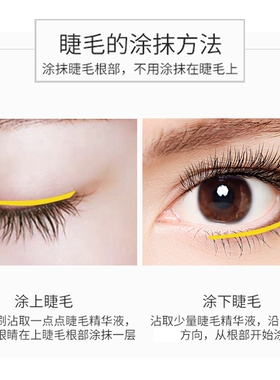KINGVENUS维纳斯小金瓶眉睫毛液