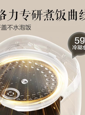 董姐同款格力3L不锈钢快煮电饭煲