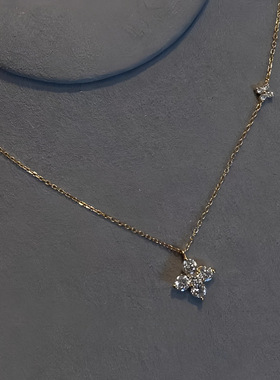 S925纯银镀16K金双生四叶草项链女小众设计轻奢高级感百搭锁骨链