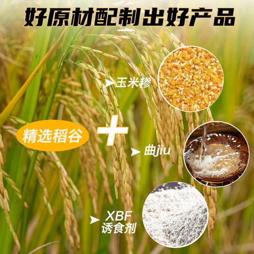 西部风维它米升级版泡酒米窝料鲤鱼鲫鱼鱼饵酒米黑坑野钓鱼打窝料 - 图2