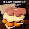 Internet celebrity Daisy bay window cushion decorative ornaments