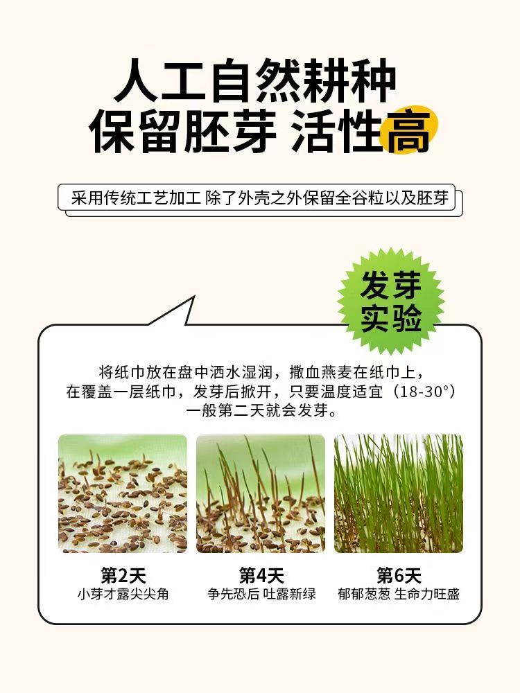 无壳加纳利子虎皮牡丹玄凤鹦鹉零食鸟粮混合粮无壳粮 - 图0