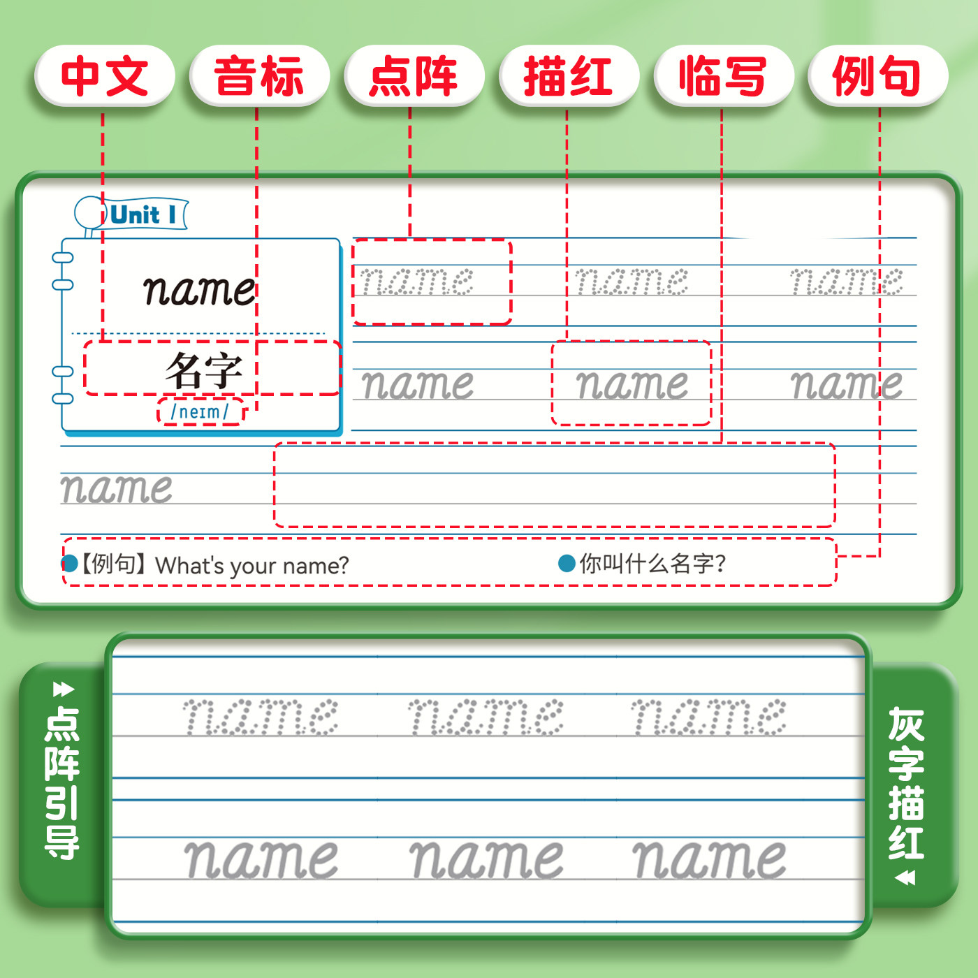 六品堂三年级英语字帖手写体斜体行书人教版同步练字帖四五六上册下册小学生专用每日一练30词意大利默写练字本描红英文字母单词本