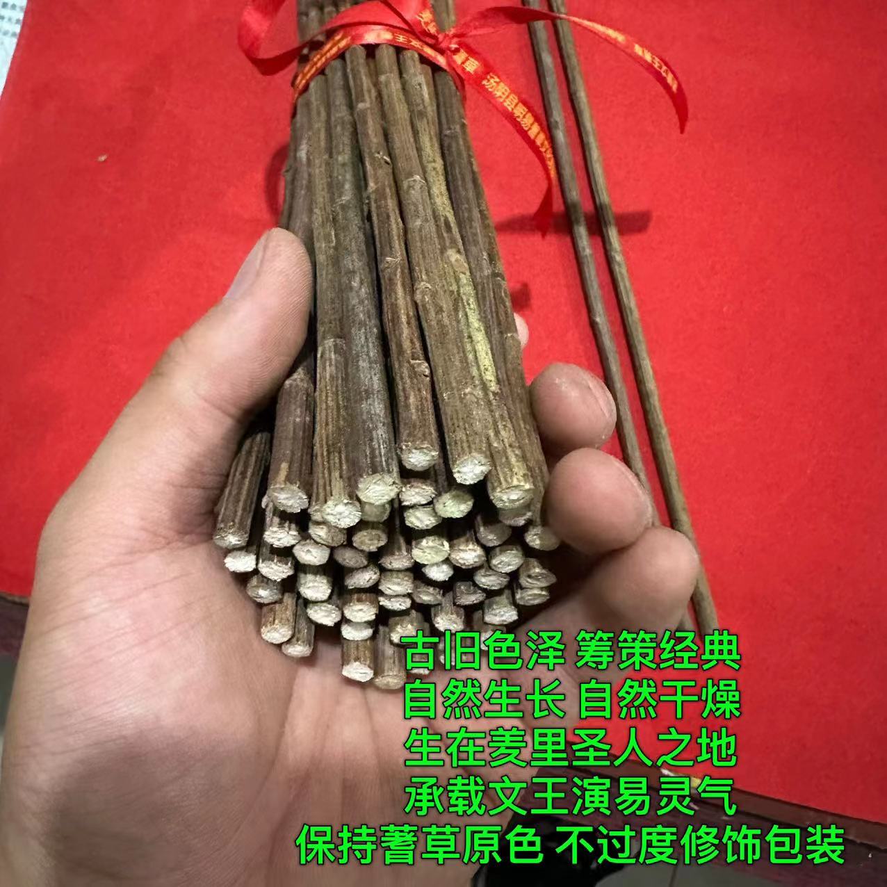 蓍草正宗文王蓍草羑里蓍草筹策大衍蓍草易学文化用品蓍草卦易 - 图1