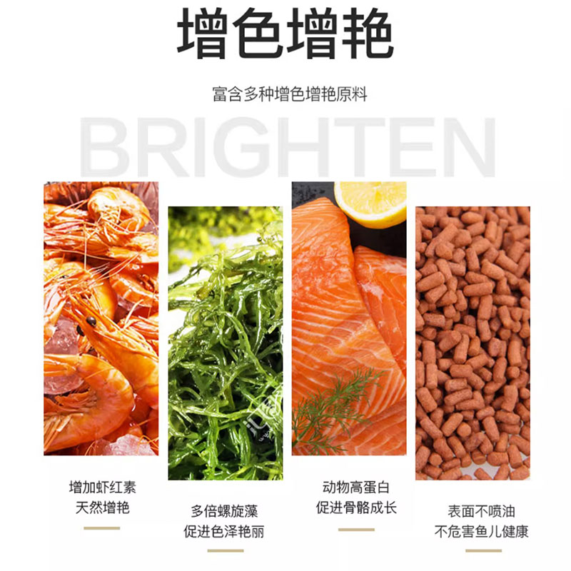 OF仟湖龙鱼饲料金龙鱼增色专用鱼食红龙鱼银龙鱼颗粒鱼食傲深G1G2 - 图1