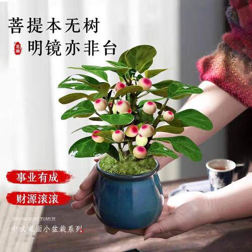 Tree basin with fruit, indoor decoration, old pile, Zen sty - 图1