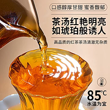 积庆里2025新茶英红九号50g[10元优惠券]-寻折猪