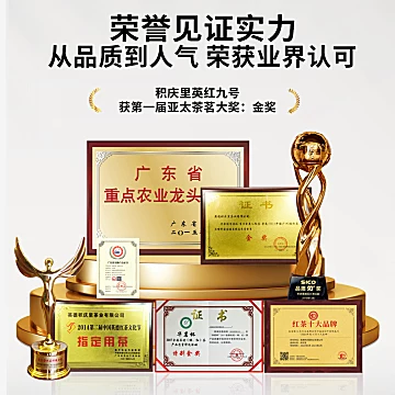 积庆里2025新茶英红九号50g[10元优惠券]-寻折猪