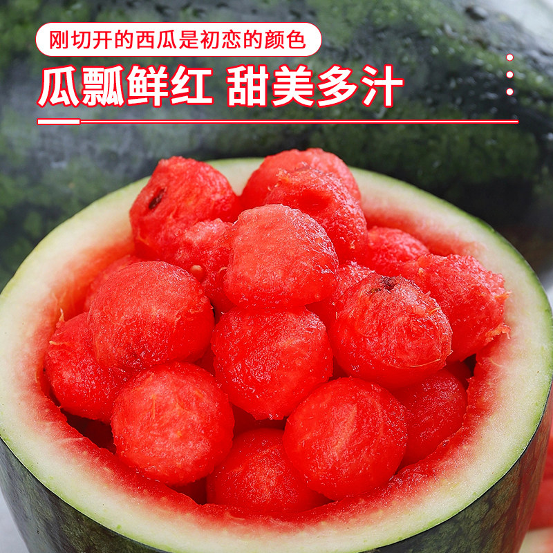 新鲜黑美人西瓜当季水果整箱时令薄皮大西瓜沙瓤甜西瓜麒麟瓜包邮,淘宝优惠券,粉丝福利购,淘宝优惠卷