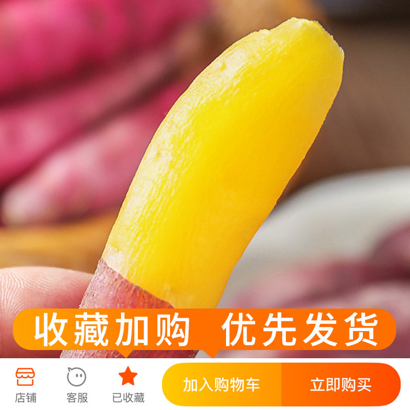 临安天目山小香薯5斤新鲜板栗地瓜 探味君番薯