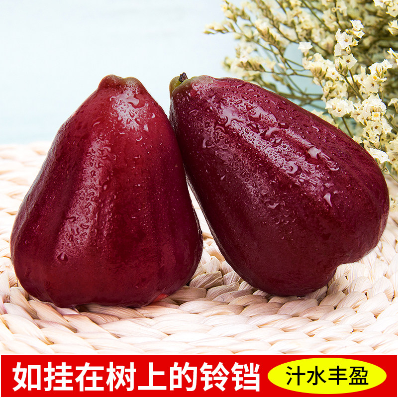 顺丰海南黑金刚莲雾5斤新鲜水果当季现摘正宗红宝石连雾果树上熟3,淘宝优惠券,粉丝福利购,淘宝优惠卷