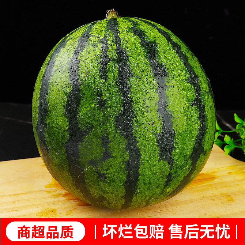 新鲜黄心西瓜当季水果脆甜冰淇淋西瓜薄皮黄瓤西瓜手撕麒麟瓜包邮,淘宝优惠券,粉丝福利购,淘宝优惠卷