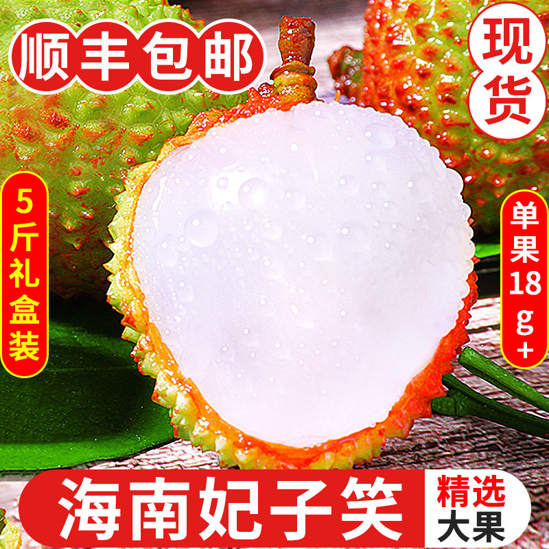 海南妃子笑荔枝5斤新鲜水果当季整箱包邮王孕妇桂现摘早熟荔枝3味
