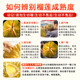 Premium Thai Golden Pillow Durian!