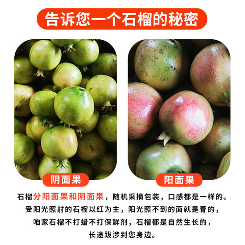 黑珍珠酸石榴新鲜水果当季正宗黑籽酸黑籽软籽石榴红宝石石榴大果-图3