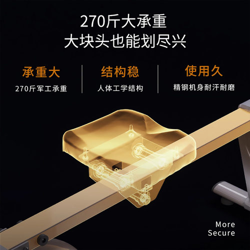 美国SUNNY双桨划船机家用健身器材室内磁阻静音减肥护膝锻炼肩颈 - 图2