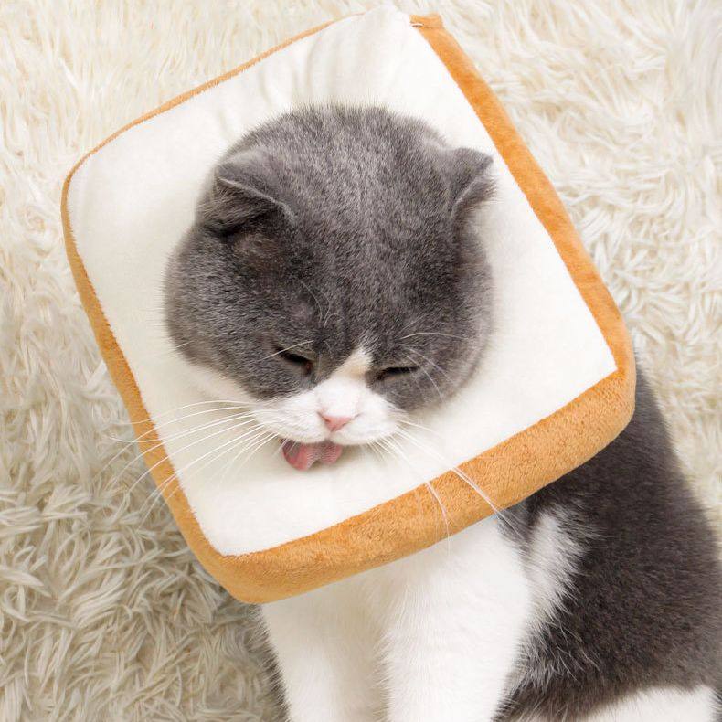 伊丽莎白圈可调节吐司面包猫绝育猫咪狗狗软项圈防舔咬脖圈羞耻圈,淘宝优惠券,粉丝福利购,淘宝优惠卷