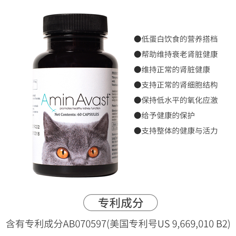 美国AminAvast肾衰停猫狗胺肾透急慢性肾衰竭肝损伤降磷肌酐病康 - 图2