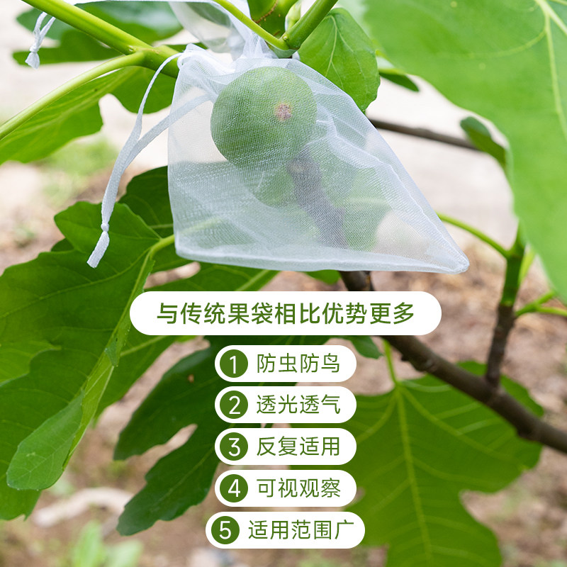 水果套袋防鸟网纱袋瓜果防虫专用袋无花果枇杷葡萄桃子草莓保护袋,淘宝优惠券,粉丝福利购,淘宝优惠卷