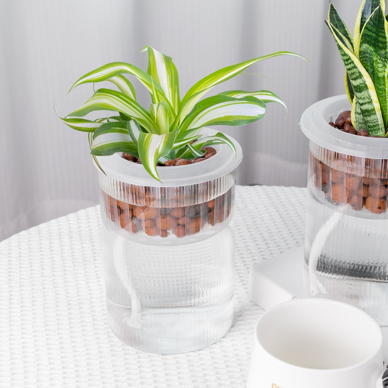 懒人花盆植物水培高硼硅玻璃透明直筒家用简约圆柱花瓶绿萝吸水,淘宝优惠券,粉丝福利购,淘宝优惠卷