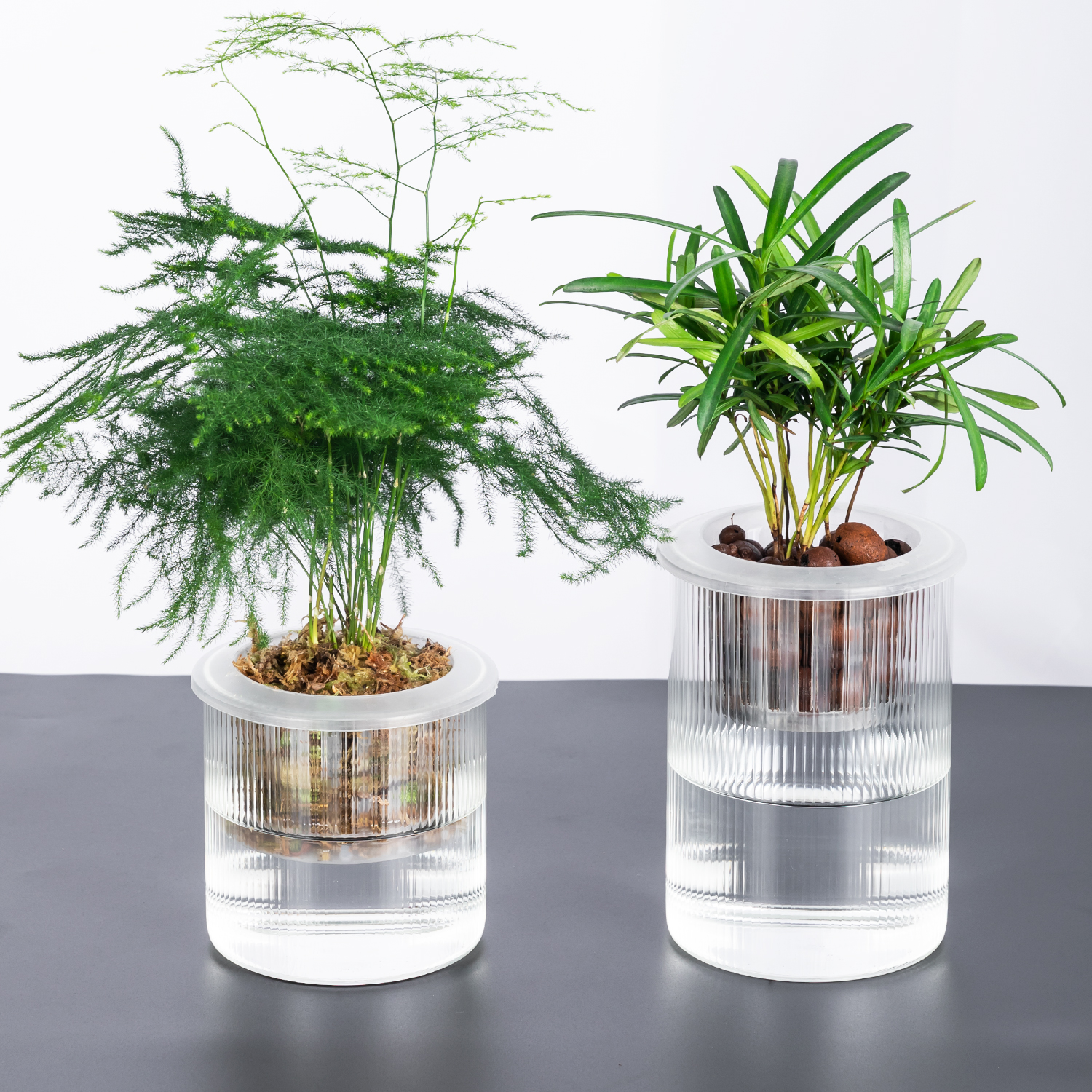 懒人花盆植物水培高硼硅玻璃透明直筒家用简约圆柱花瓶绿萝吸水,淘宝优惠券,粉丝福利购,淘宝优惠卷