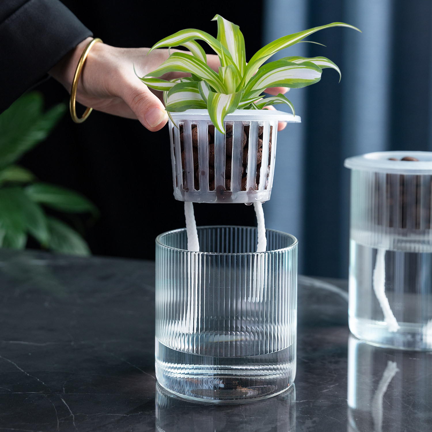 懒人花盆植物水培高硼硅玻璃透明直筒家用简约圆柱花瓶绿萝吸水,淘宝优惠券,粉丝福利购,淘宝优惠卷