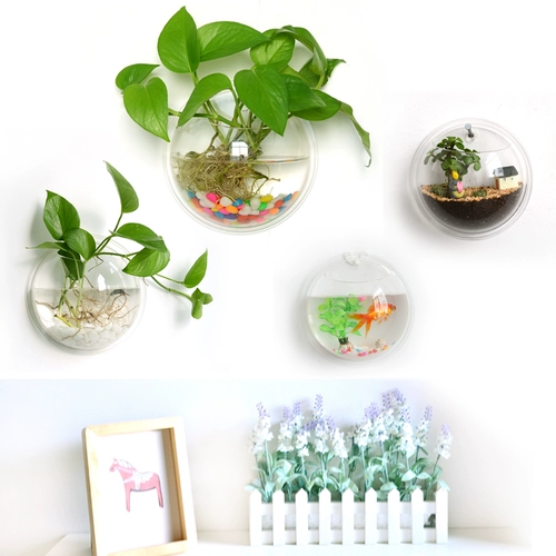 Стена -Ориентированная на стена -рыбная аквариум Творческая стена декоративная подвеска зеленый укроп Цветочный горшок Комната подвесная настенная ваза