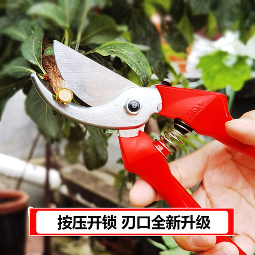 日本爱丽斯FB园艺剪刀果树修枝剪花艺剪树枝剪园盆景剪葡萄剪刀 - 图0