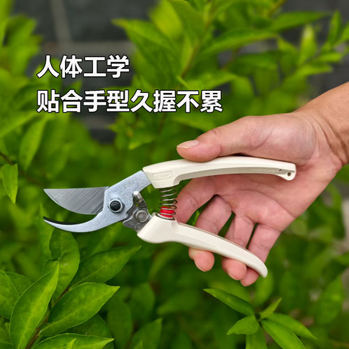 爱丽斯ars130进口修枝剪刀果树剪花艺剪刀园艺盆景剪刀花艺师剪 - 图2